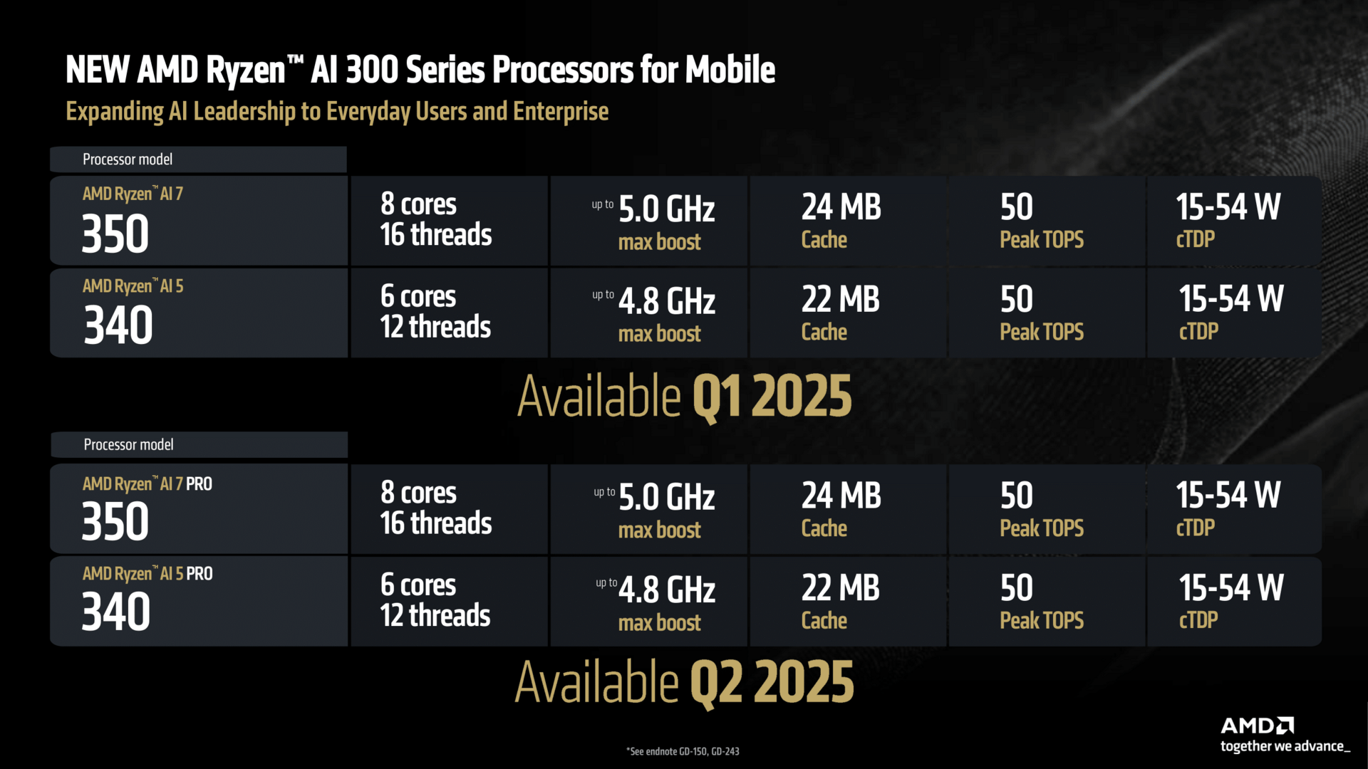 The smallest AMD Ryzen AI 300 at a glance