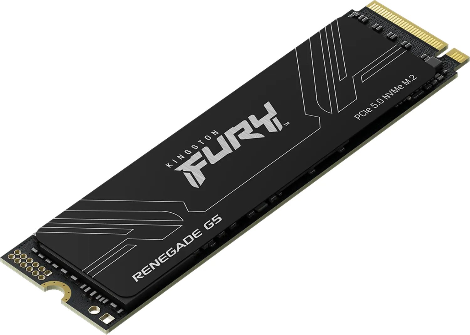 Kingston Fury Renegade G5 SSD